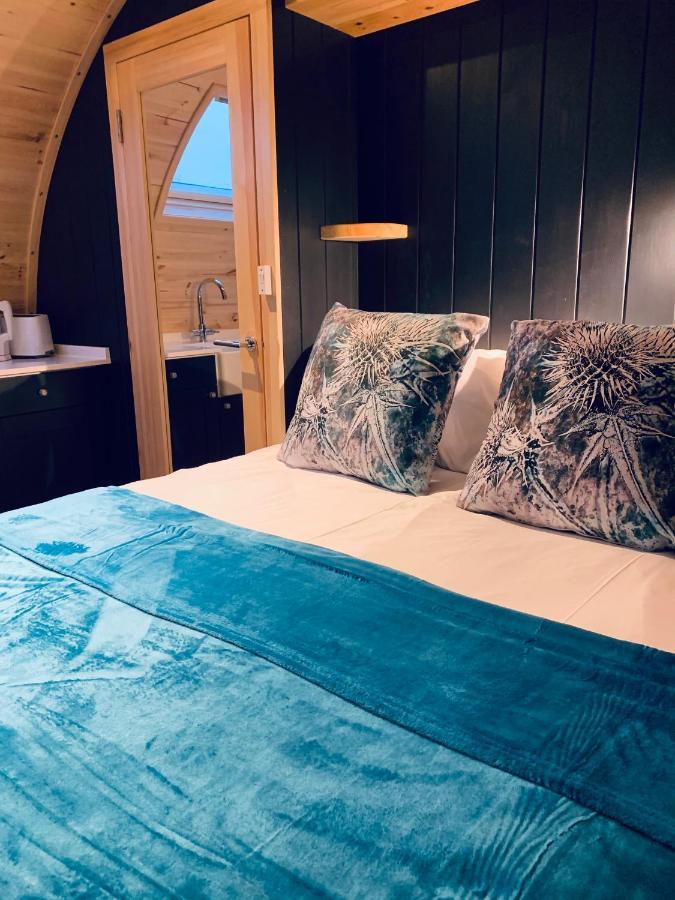 Thistle Pod Farm Stay With Hottub Sleeps 2 Galston  Ngoại thất bức ảnh